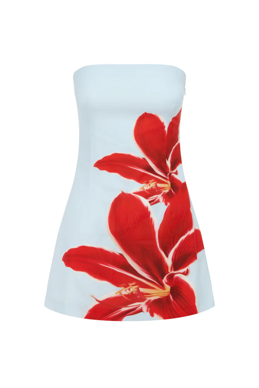 Primrose Mini Elbi̇se - Kırmızı Zambak