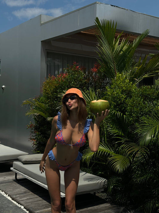 Dahlia Seti - Mercan Resifi