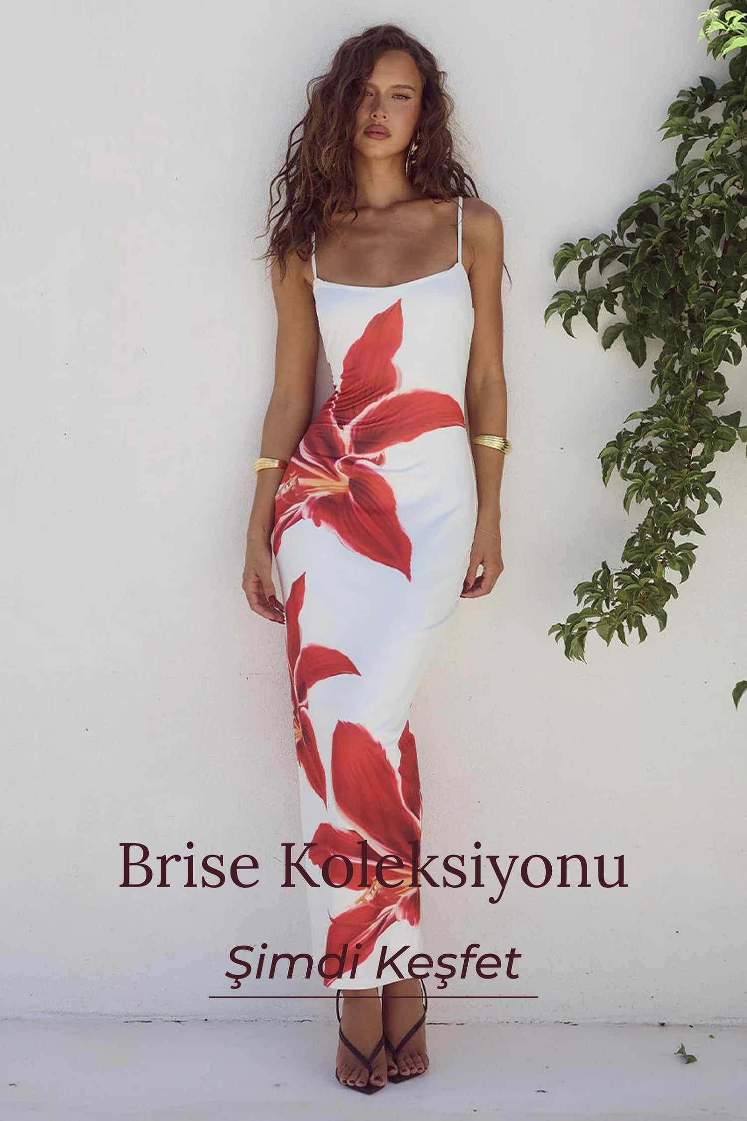 Brise Koleksiyonu